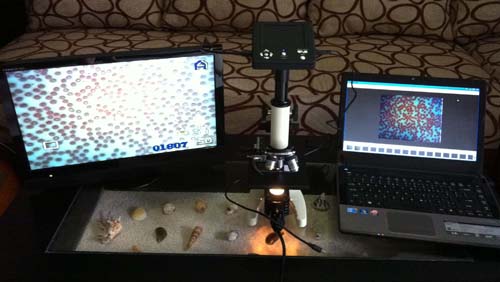 Mikroskop Multimedia Murah